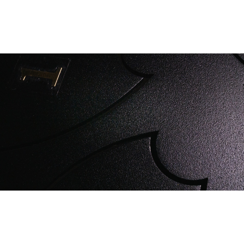 Steel Tongue Drum F-Zone STD818N Negro (8" 8 notas) - Imagen 2