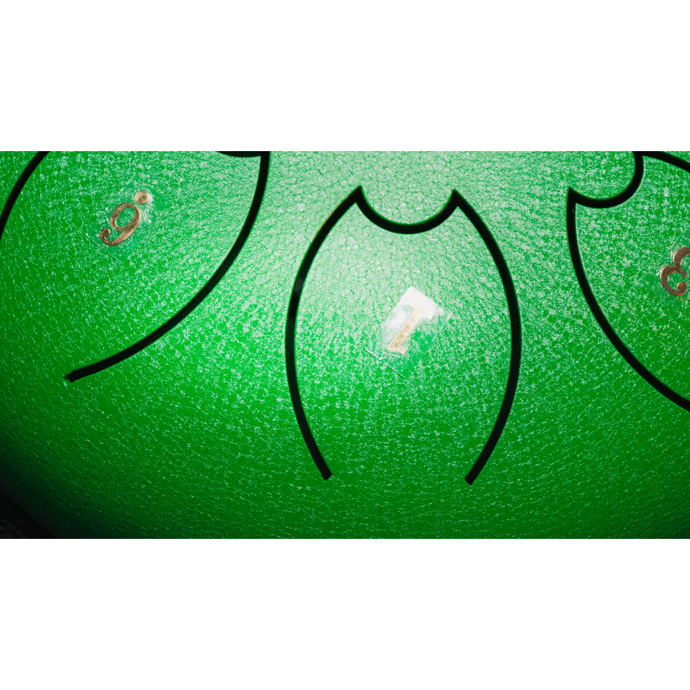 Steel Tongue Drum F-Zone STD811N Verde (8" 11 notas) - Imagen 2