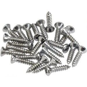 Juego 24 Tornillos Golpeador/Control Plate Fender Cromo 099-4923-000