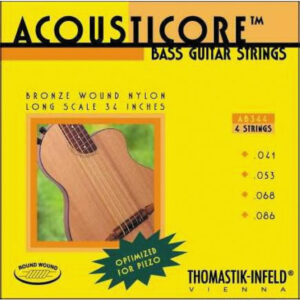 Juego Bajo Acústico 4 cuerdas Thomastik AB-344 41-086