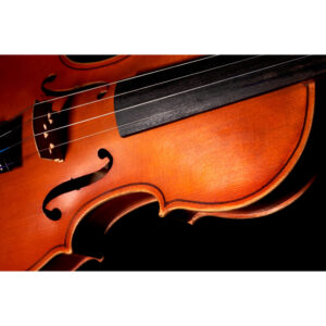 Juego Cuerdas Violín "Popular" G-105/4/4