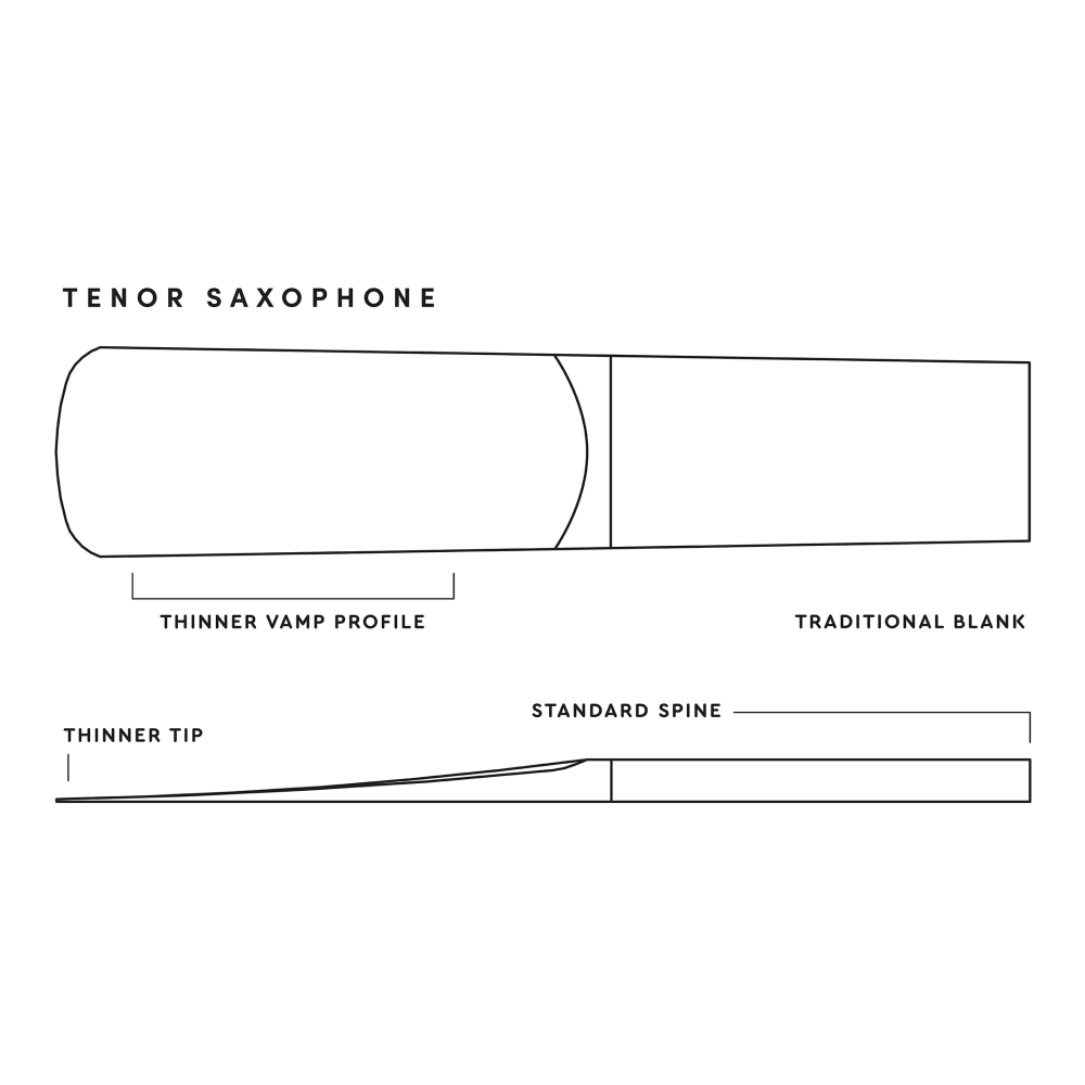 Caja 10 Cañas Saxo Tenor Royal by D'Addario 3 - Imagen 4