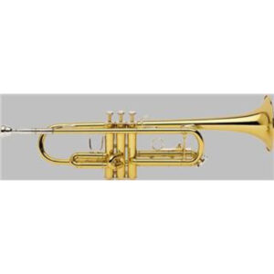 Trompeta Bach Stradivarius 180ML Campana 43 Plateada