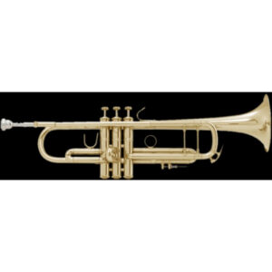 Trompeta Bach Stradivarius ML-180/43 Goldmessing