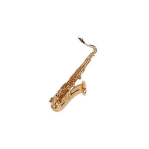 Saxo Alto Selmer Serie II Dorado Grabado Jubile