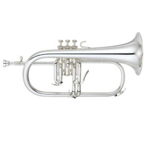 Fliscorno Pistones Fides FFL-4000ML Lacado