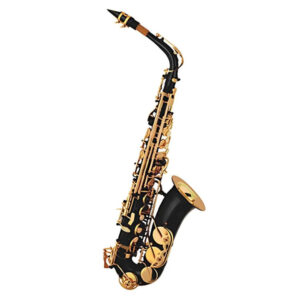 Saxo Alto Taylor Collins TCAS-07BK Negro