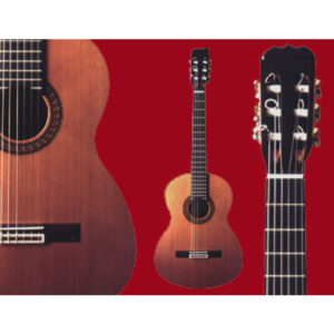 Guitarra Ramírez 1ª Especial Palosanto