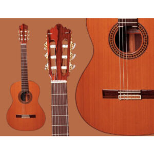 Guitarra Ramírez  4-NE Palosanto