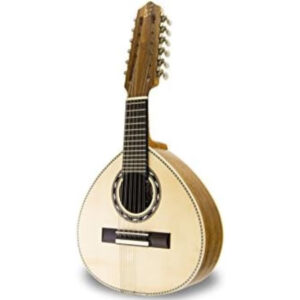 Bandurria APC BAND-308