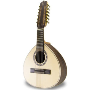 Bandurria APC BAND-312