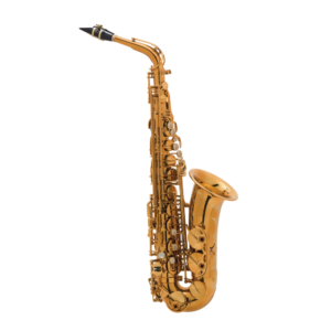 Saxo Alto Reference Goldmessing Grab.DGG