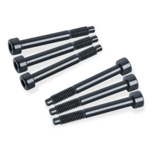 Recambios Floyd Rose Schaller Kit 6 Tornillos Bloq. Puente 20613002