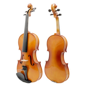 Violín Gaudieri GV10 1/2