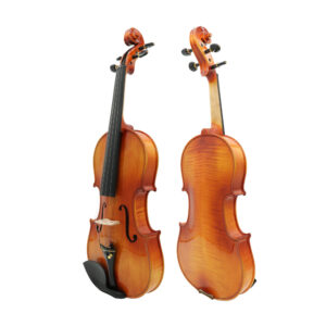 Violín Gaudieri GV30 4/4