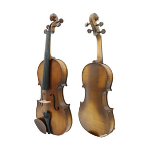 Viola Gaudieri GVA30 15½"